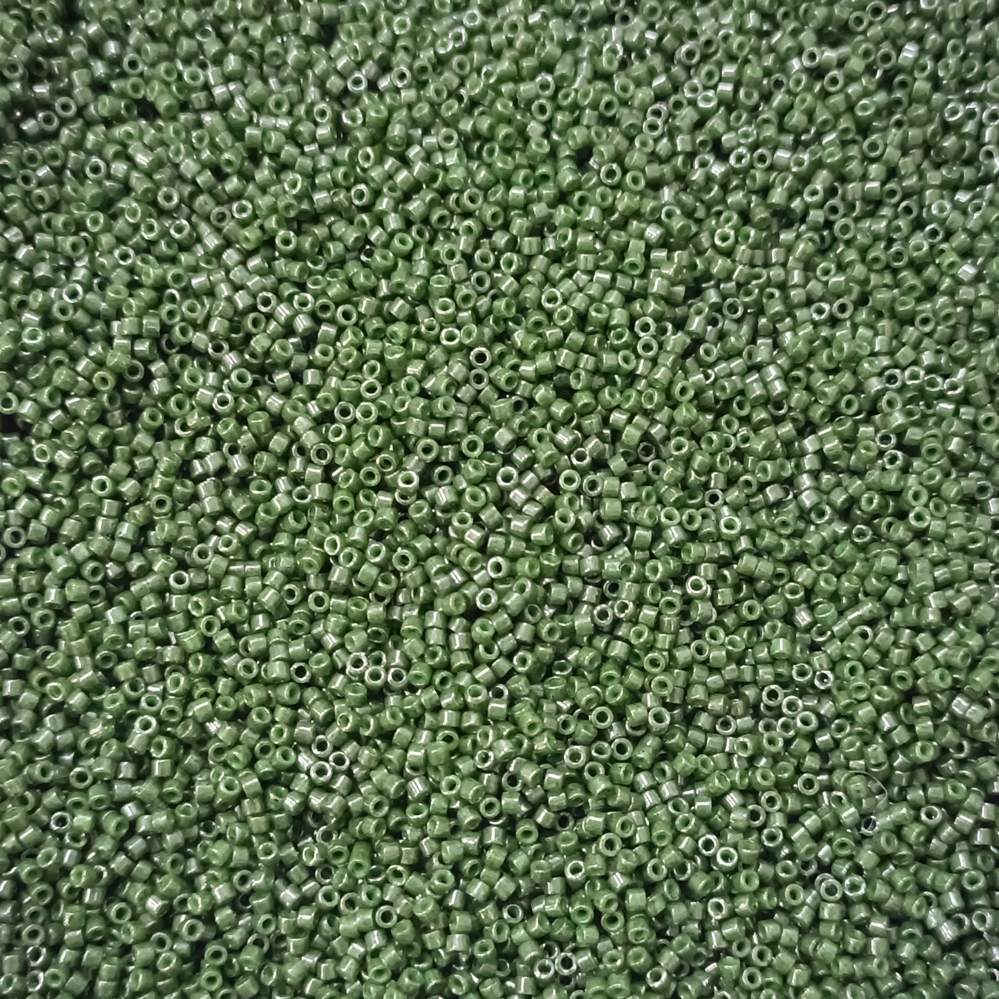 DELICA BEADS DB 0663 (10 Grams)